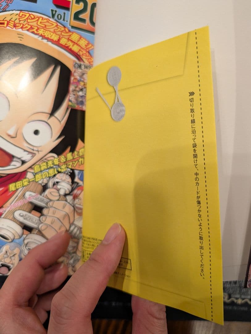 ワンピース マガジン 第20号 ルフィ