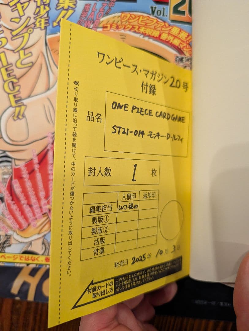 ワンピース マガジン 第20号 ルフィ