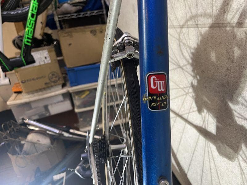 Ganwell pro チューブラータイヤ