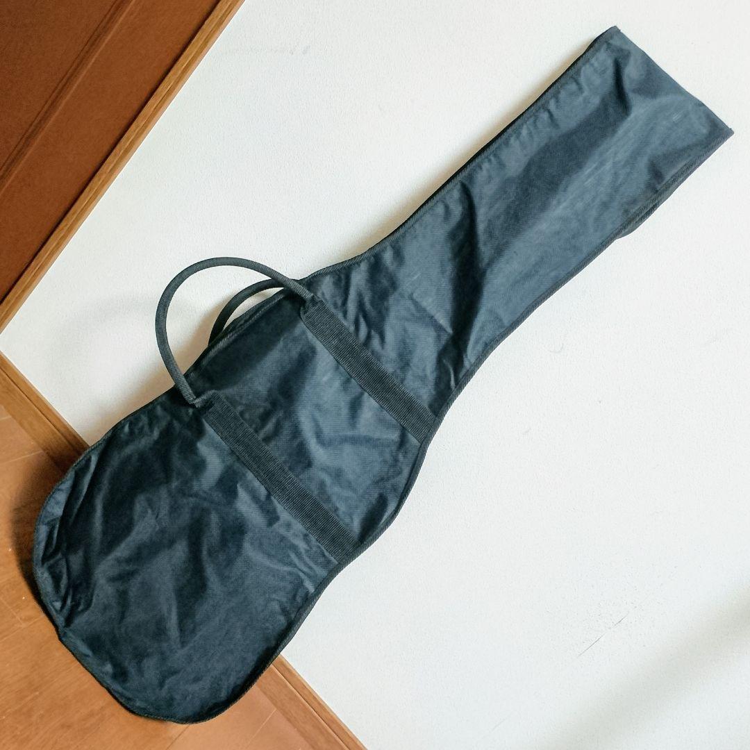 LEGEND by Aria ProII　LST-X　エレキギター　弦は新品！