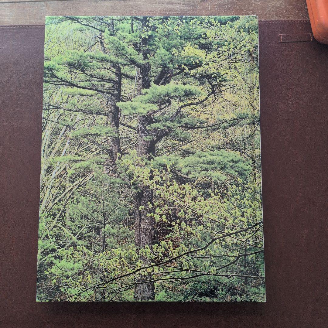 eliot porter エリオット・ポーター　写真集