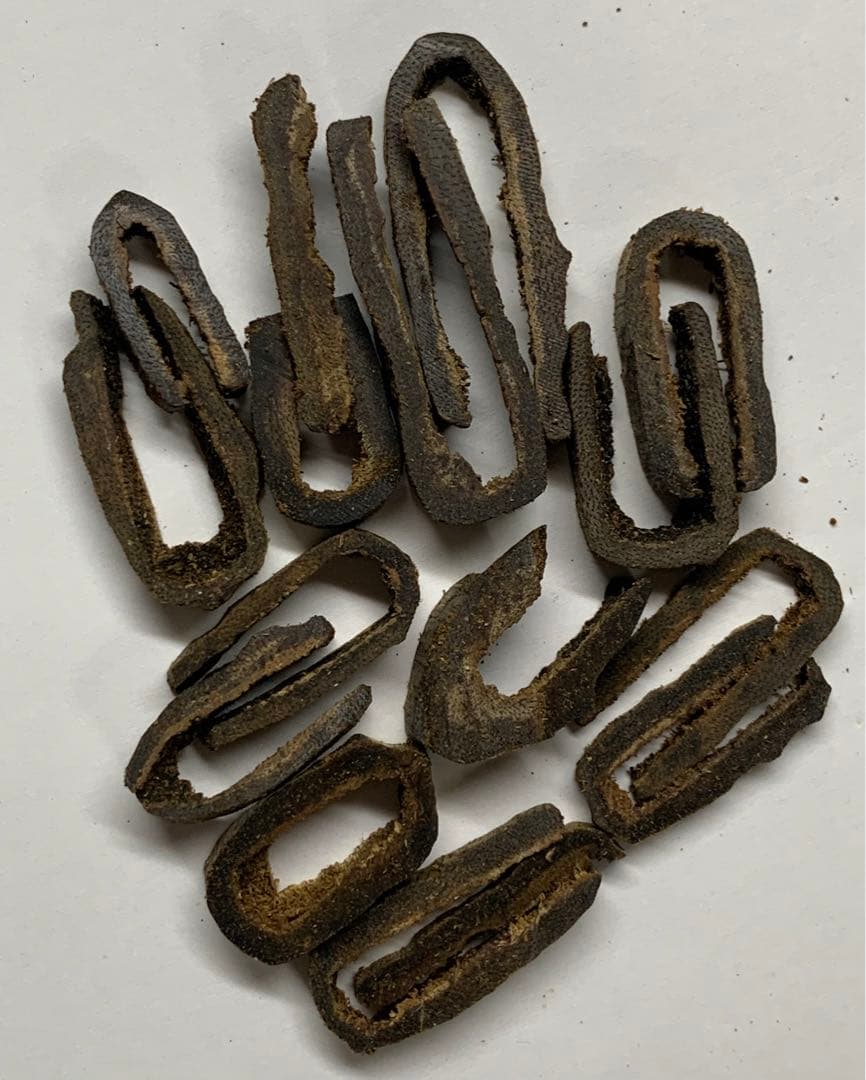 極上黒伽羅 沈香原木 香木 黒伽羅重さ:10g (高ランク本物証明)