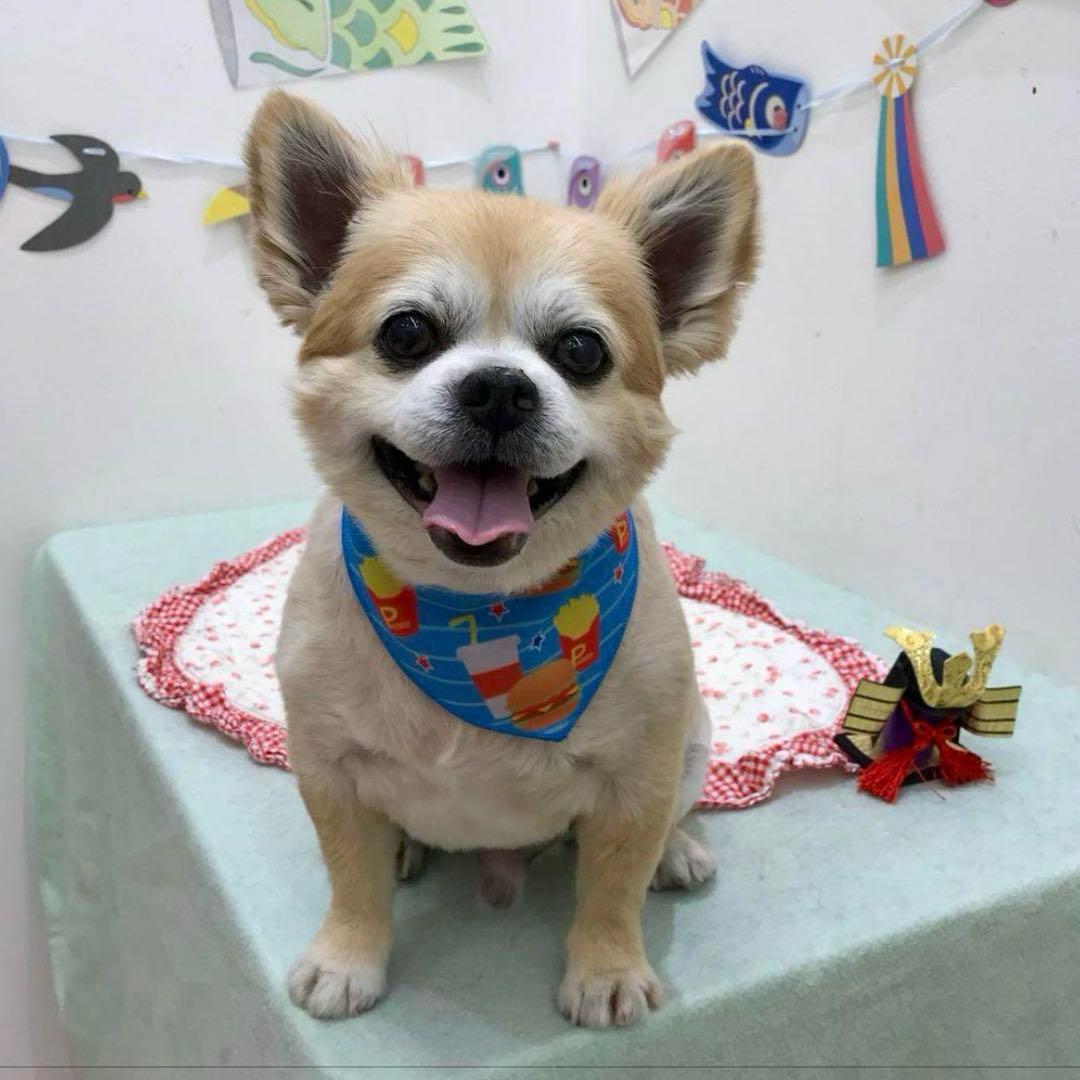 nello15714 うちの子刺繍オーダーメイド