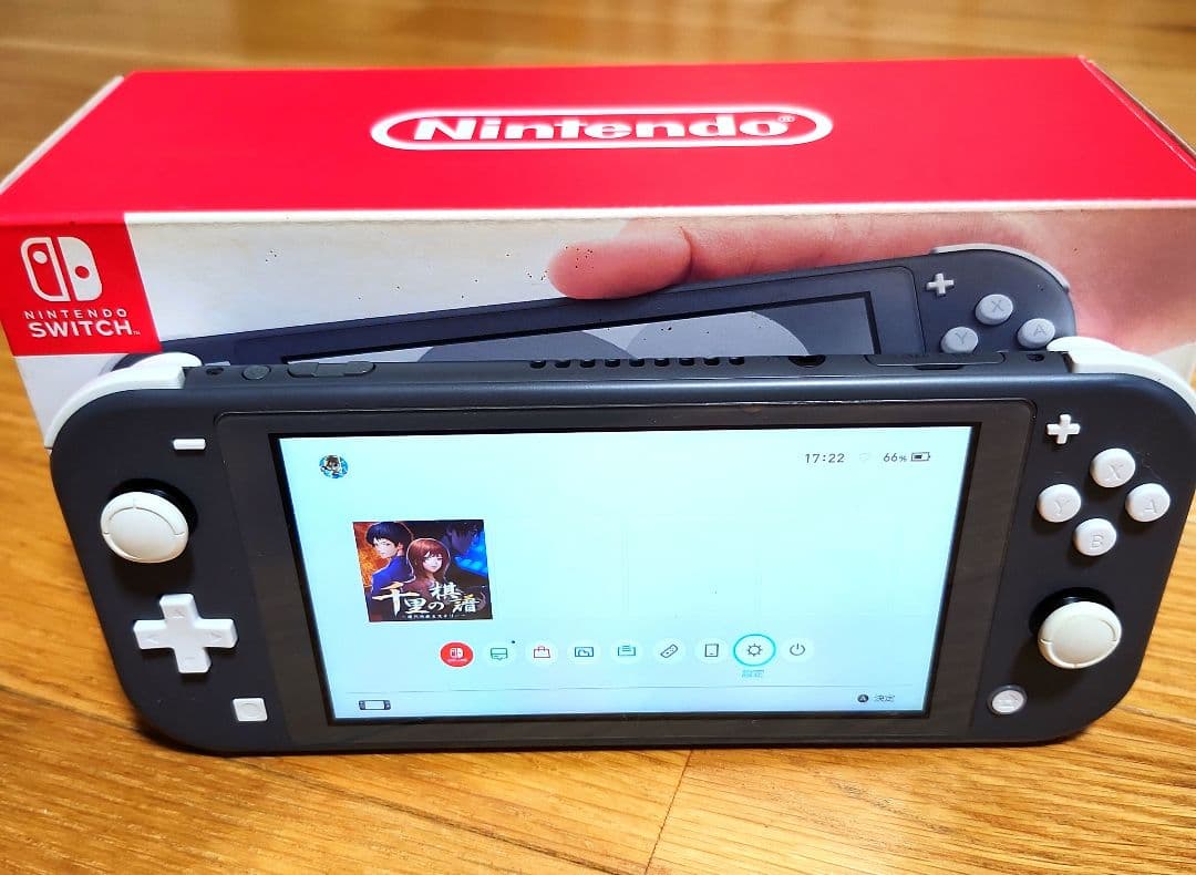 【動作品】ニンテンドー スイッチライト グレー 箱と充電器付き