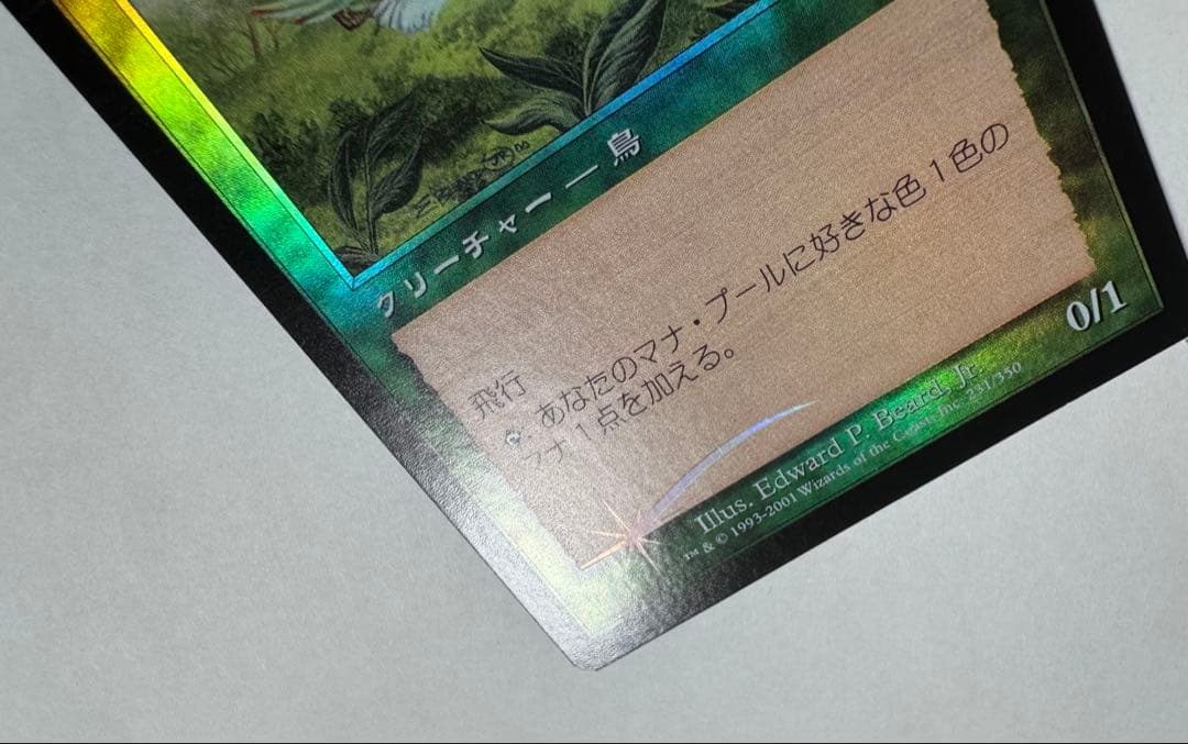 【希少】MTG 7版日本語旧枠Foil極楽鳥/Birds of Paradise