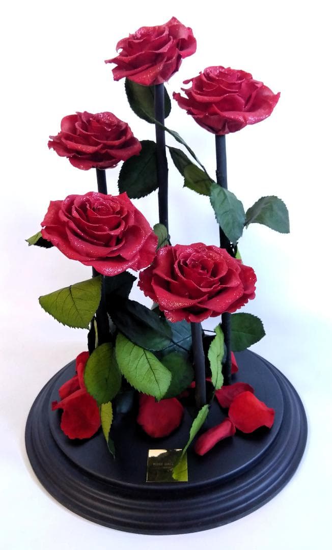 ROSE GALLERY 銀座 プリザーブドローズ(5本立ち) ドームケース付き