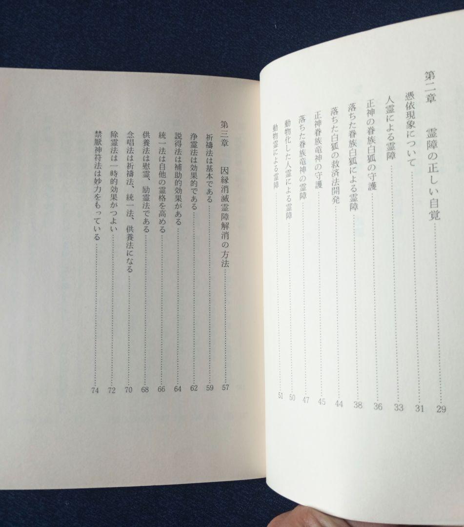 霊障からの救い　救霊と奇蹟を起こす神霊治療
