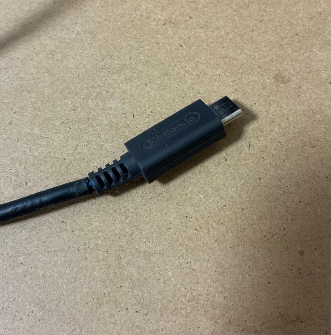 Nintendo Switch あつまれどうぶつの森 バージョン