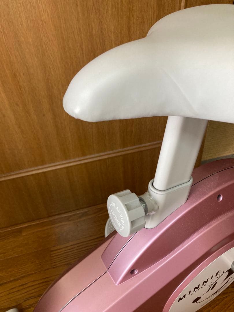 ALINCO MINNIE STYLE エアロバイク