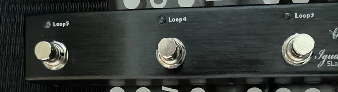 と*ん様 OneControl Iguana Tail Loop 2