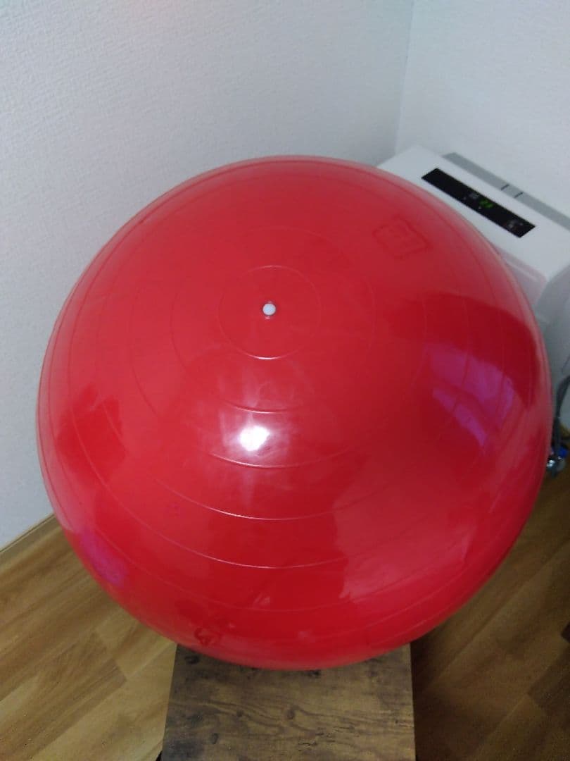 ギムニク GYMNIC フィジオロール 直径85cm