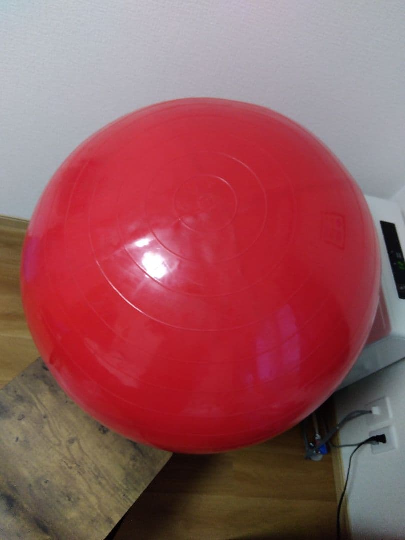 ギムニク GYMNIC フィジオロール 直径85cm