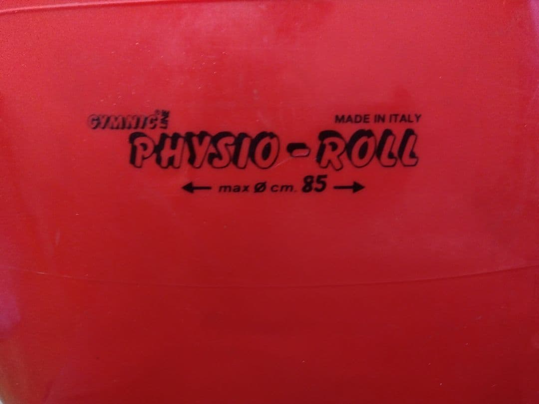 ギムニク GYMNIC フィジオロール 直径85cm