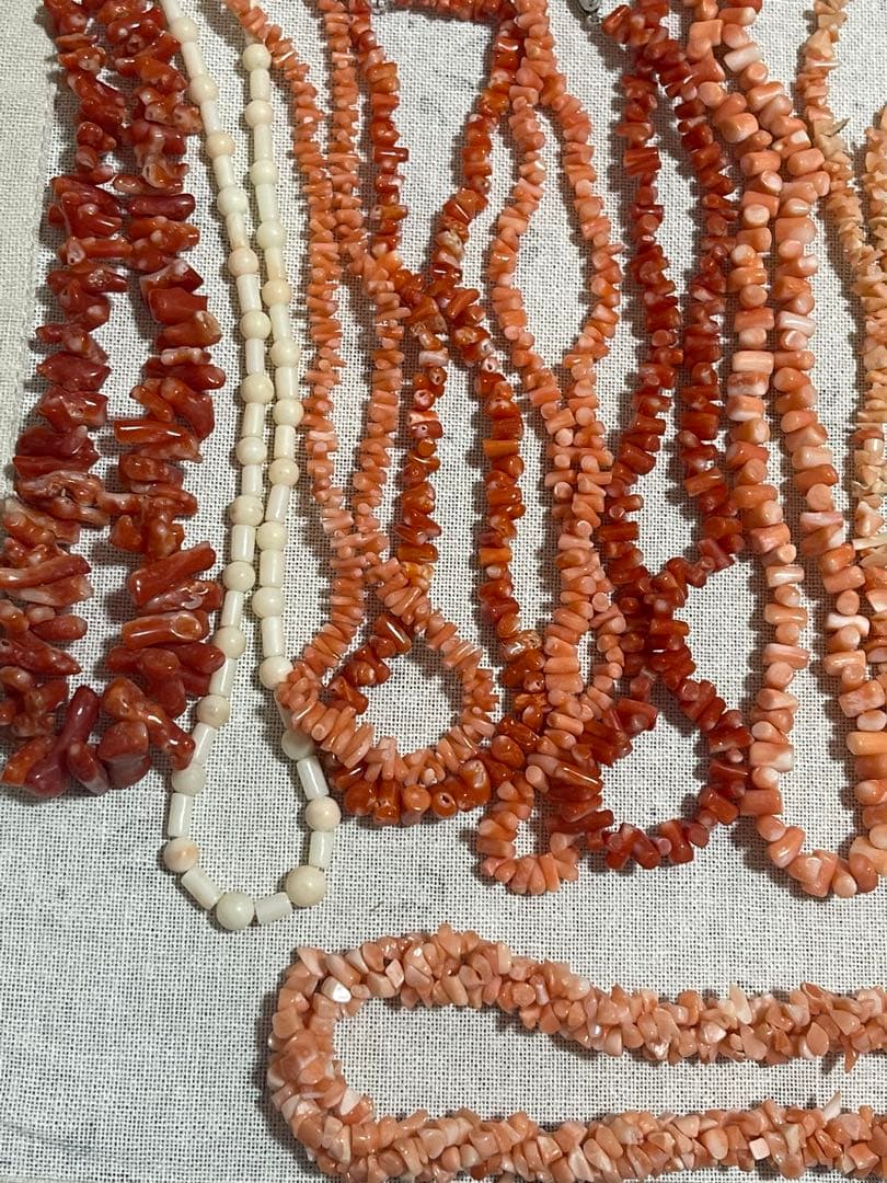 珊瑚 silver 20本まとめ売り