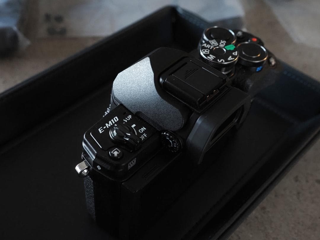 1月購入！ OLYMPUS OM-D E-M10 Mark Ⅳ　撮影1112枚