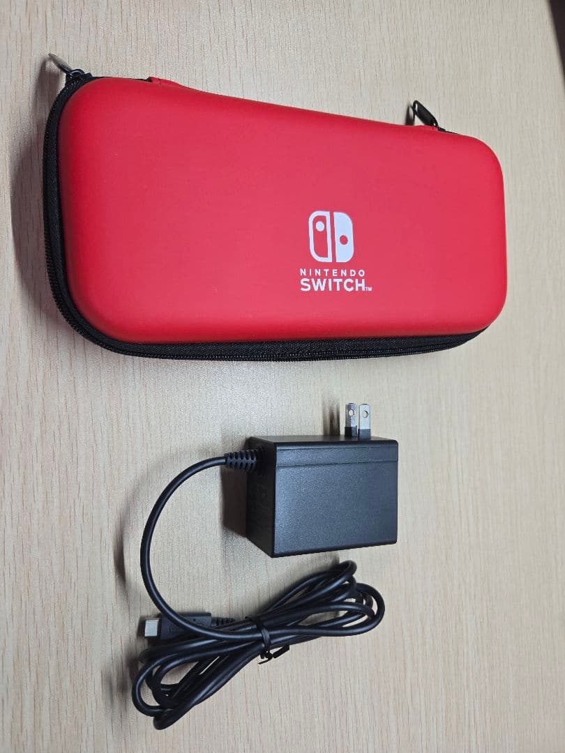 Nintendo Switch Lite 青 本体 充電器 ケース付き