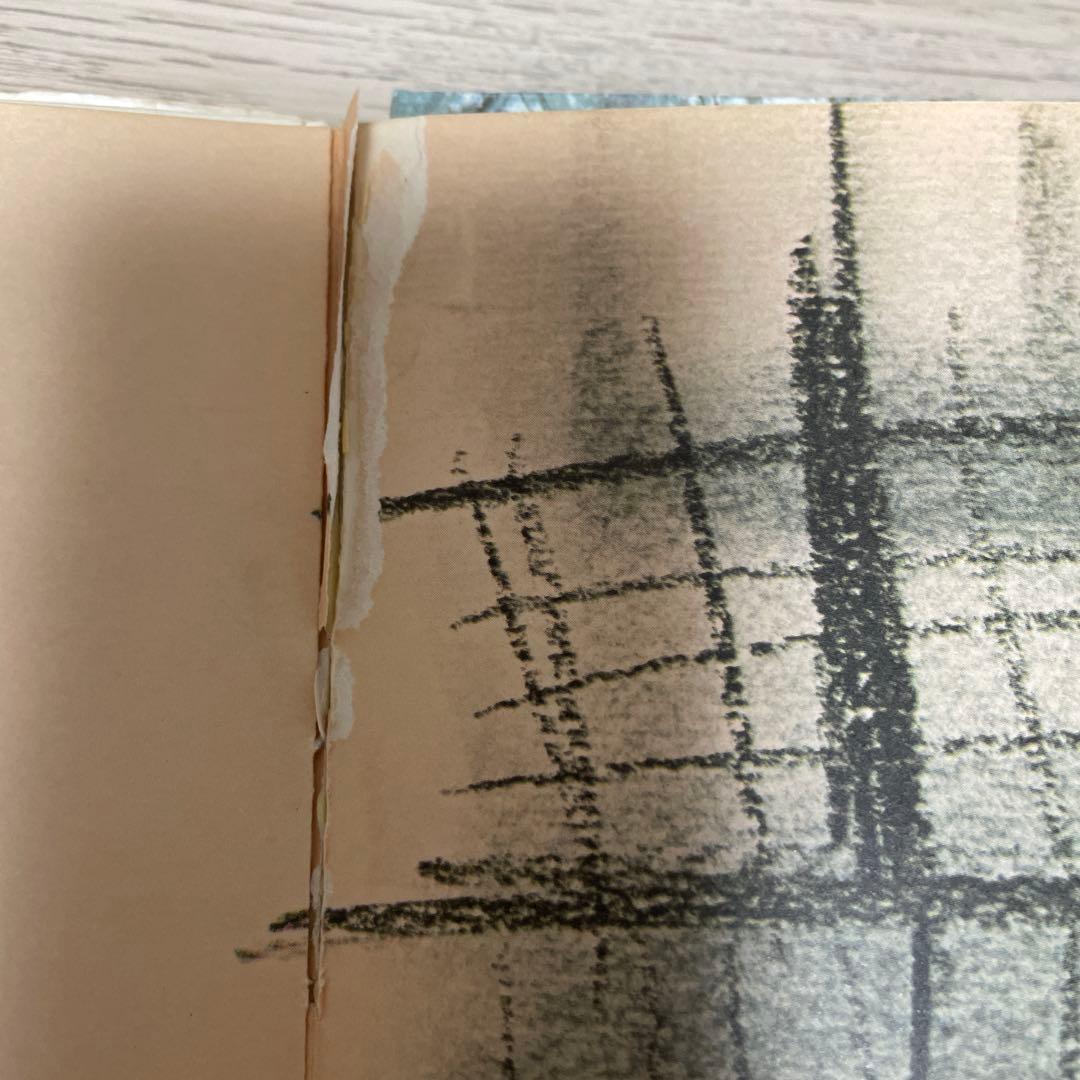 おひさまをはこぶちょう 絵本