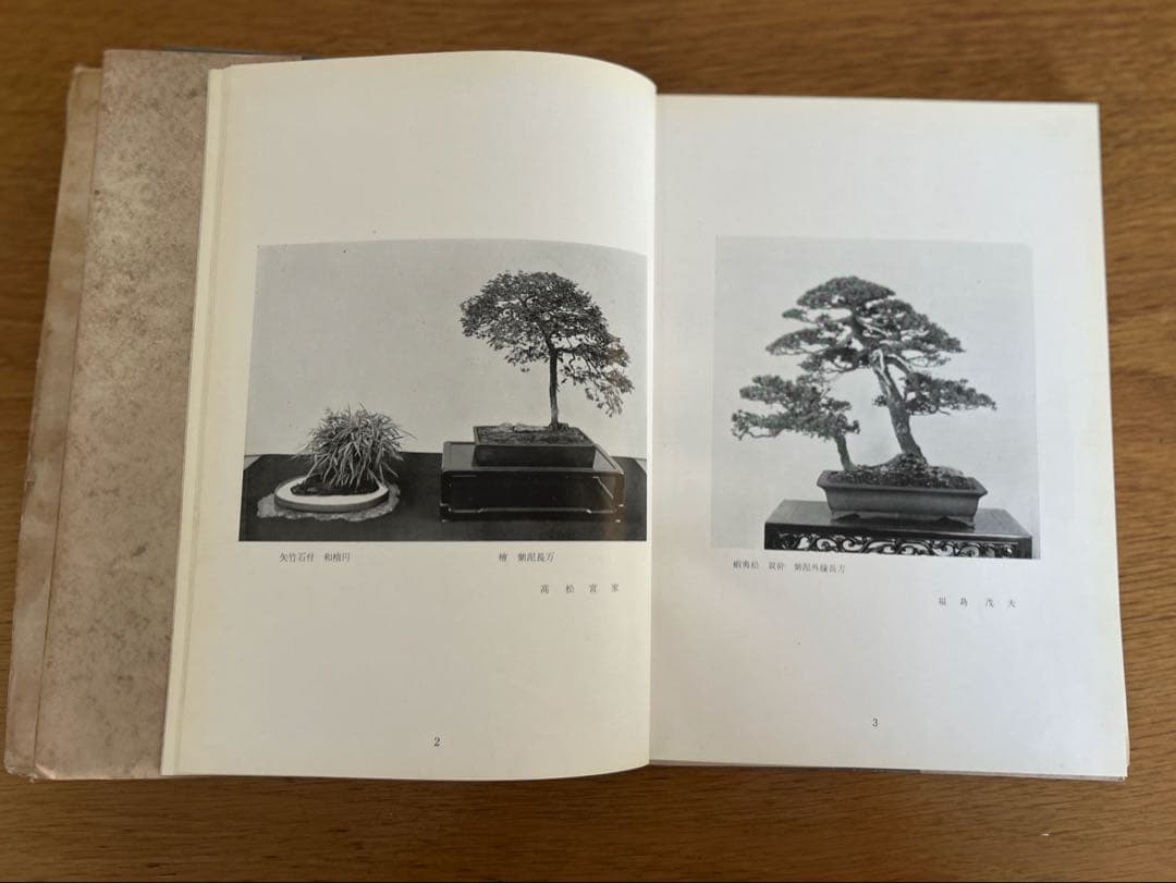 国風盆栽展 第37回 記念帖 国風盆栽会 宮内庁 高松宮家