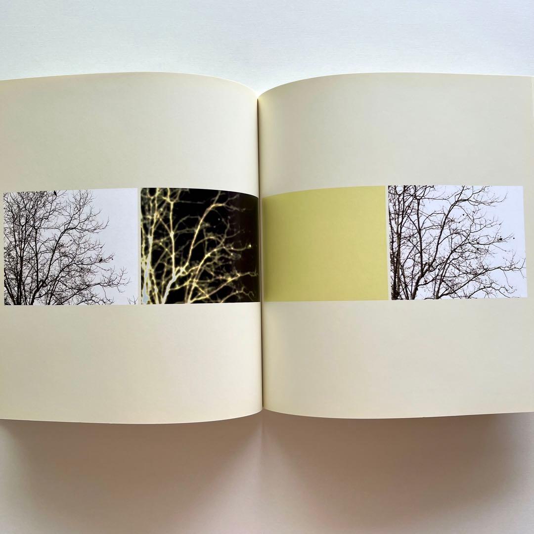 Uta Barth 写真集 White Blind (Bright Red)