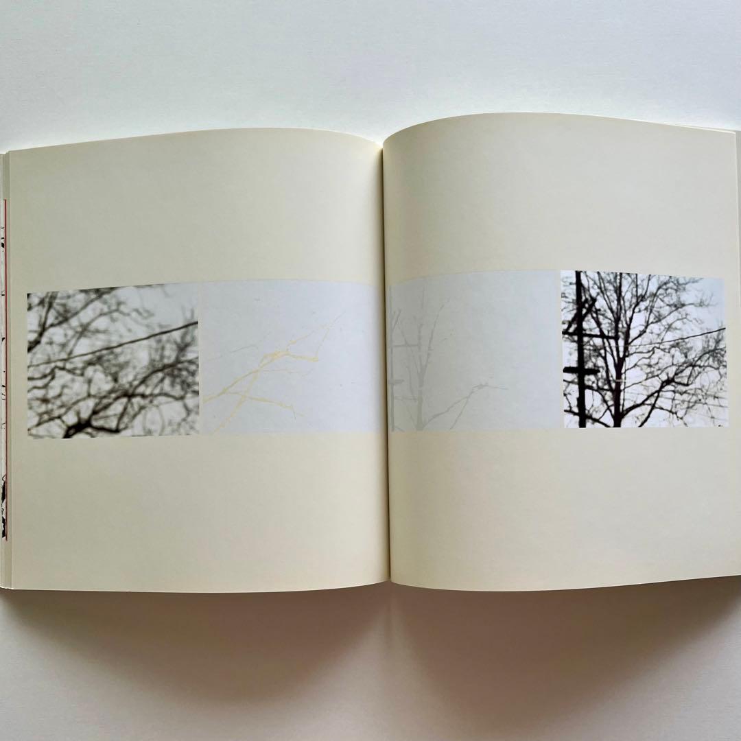 Uta Barth 写真集 White Blind (Bright Red)