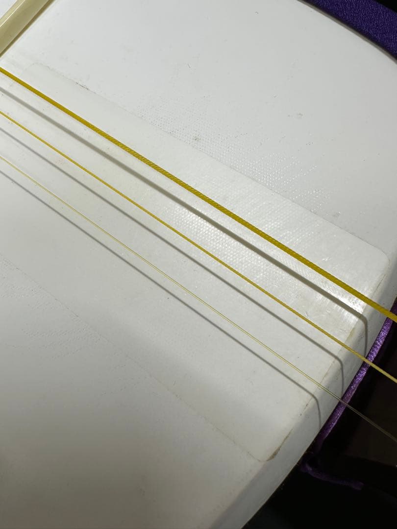 津軽三味線　太棹　銀河印　ソフトケース付