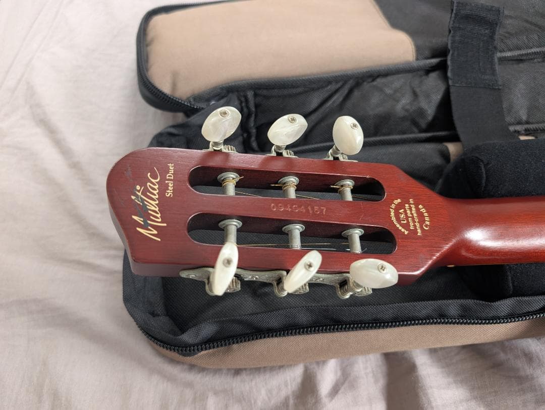 Godin Multiac Steel Duet ゴダン スチール デュエット