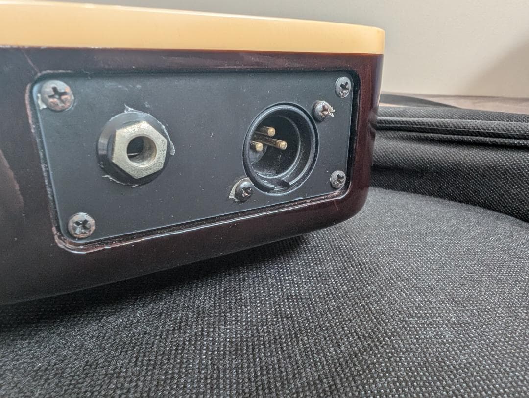 Godin Multiac Steel Duet ゴダン スチール デュエット