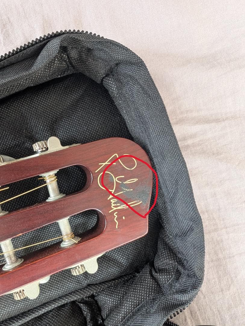 Godin Multiac Steel Duet ゴダン スチール デュエット