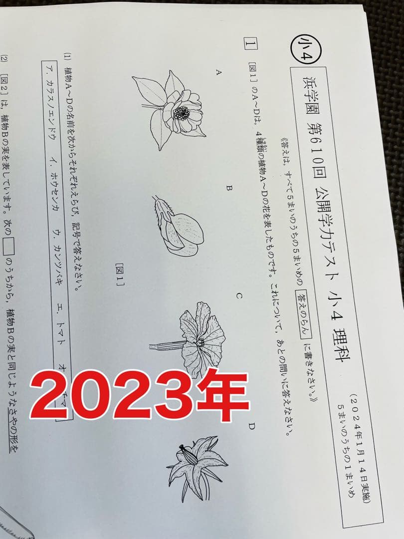 小4 浜学園 公開学力テスト 2022年〜2024年 4科目 3年分