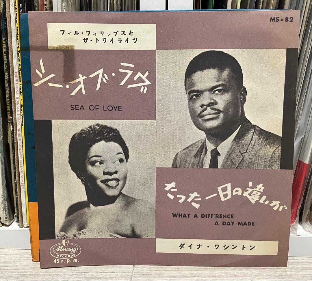 激レア！シー・オブ・ラヴ / フィル・フィリップスとザ・トワイライツ