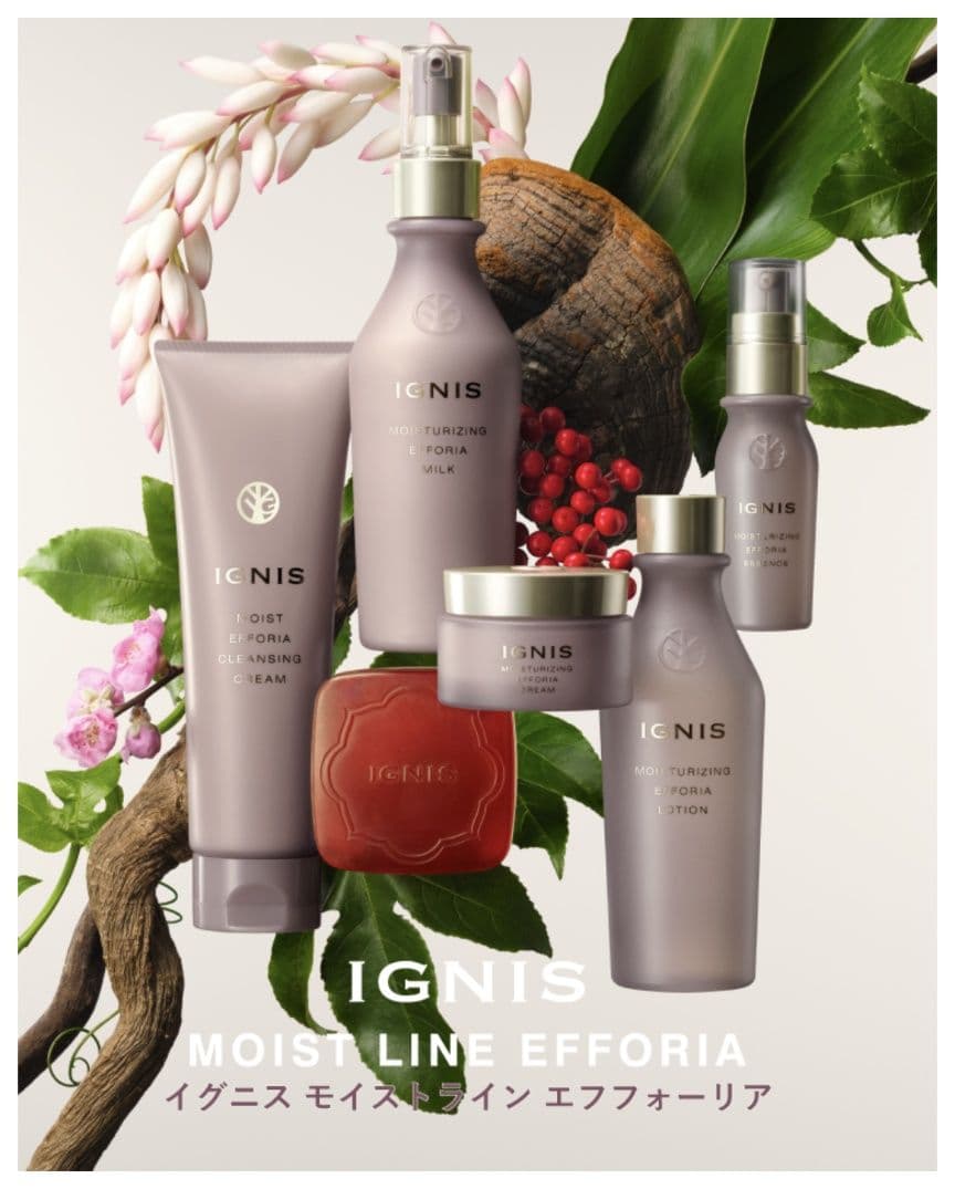 IGNIS モイスチュアライジングエフフォーリアクリーム50g USED