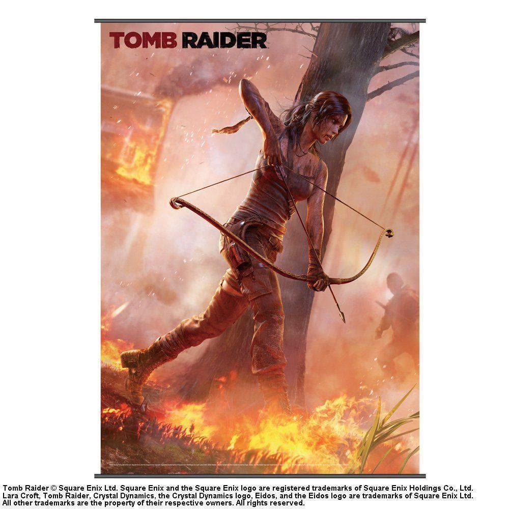 トゥームレイダー TOMB RAIDER lara croft ポスター セット