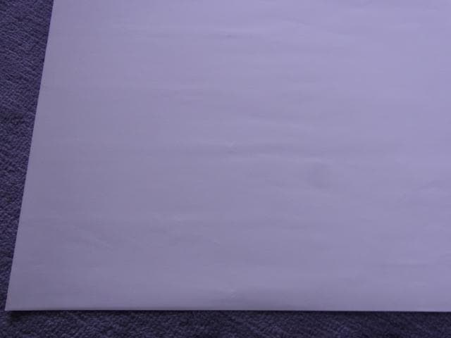 未使用品　非売品　ポスター　ロードス島戦記 DIEDLIT　ディードリット