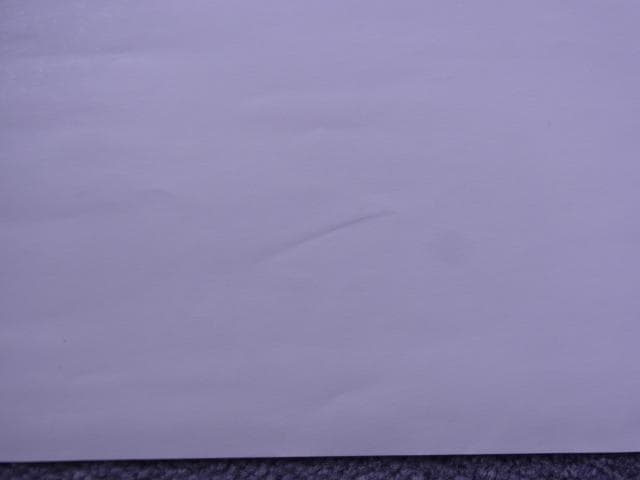 未使用品　非売品　ポスター　ロードス島戦記 DIEDLIT　ディードリット