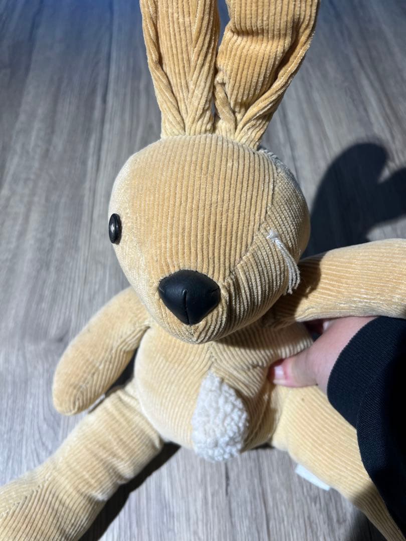 GDC グランドキャニオン　激レア　限定　ぬいぐるみ　ground canyon