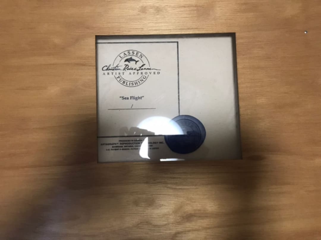 クリスチャン・リース・ラッセン作 Sea Flight