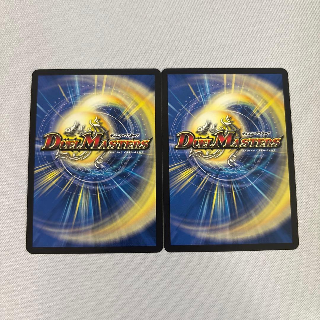 真気楼と誠偽感の決断　パーフェクトペテンシー　シークレット　シク　2枚