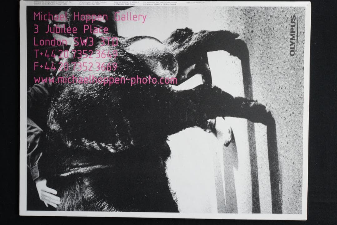 【Daido Moriyama Vintage Prints：森山大道】