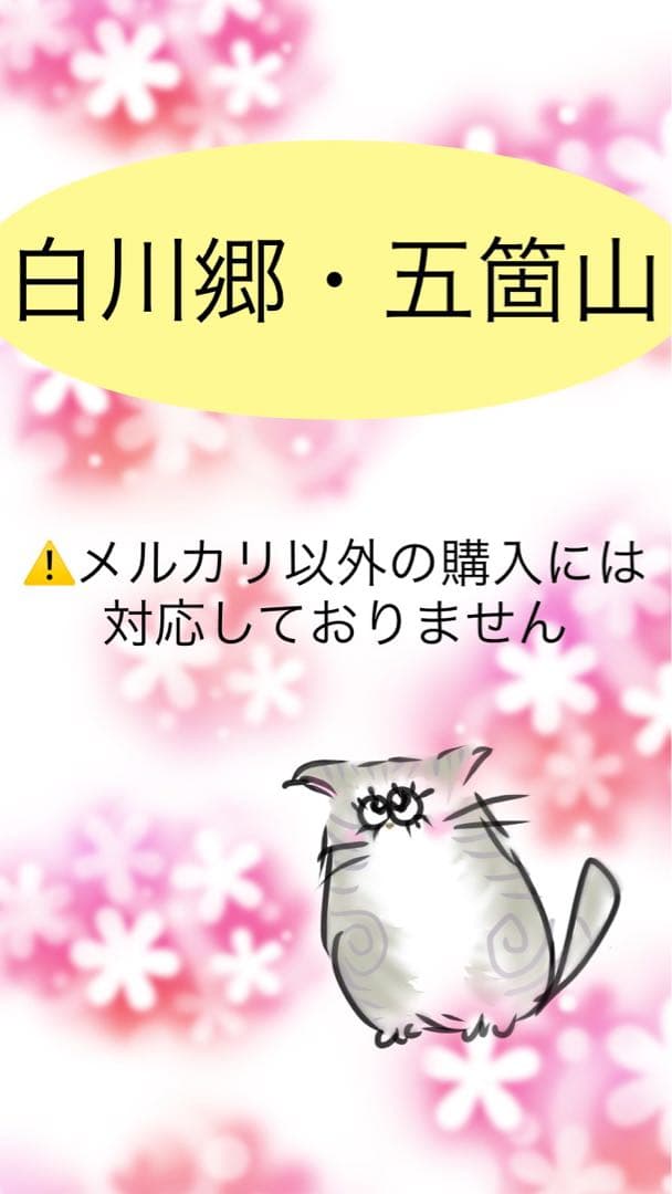 SMRC Corre様 リクエスト 3点 まとめ商品