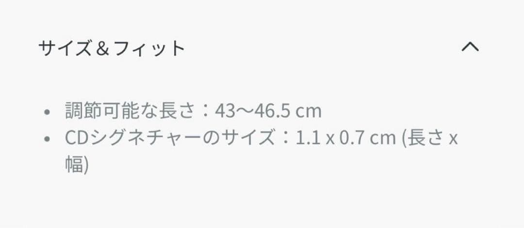 ✨美品✨　Dior ディオール　ネックレス(ノベルティのバッチ付き)