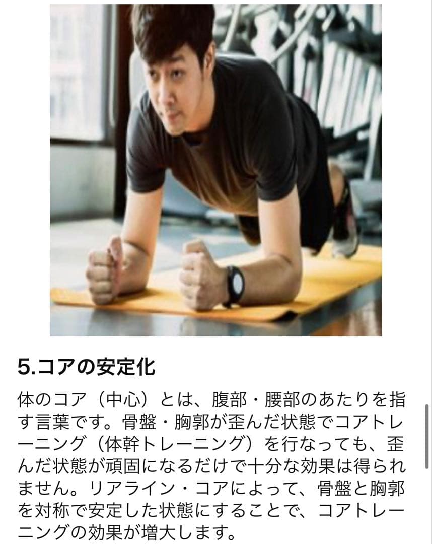 リアラインコア　2個セット