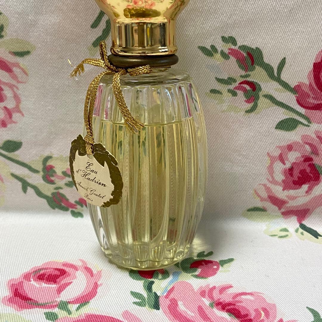 アニックグダール　オーダドリアン　オードトワレ　100ml