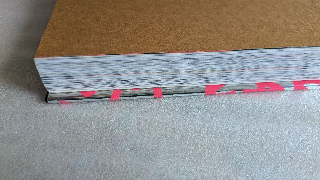 the stephen sprouse book ルイヴィトン