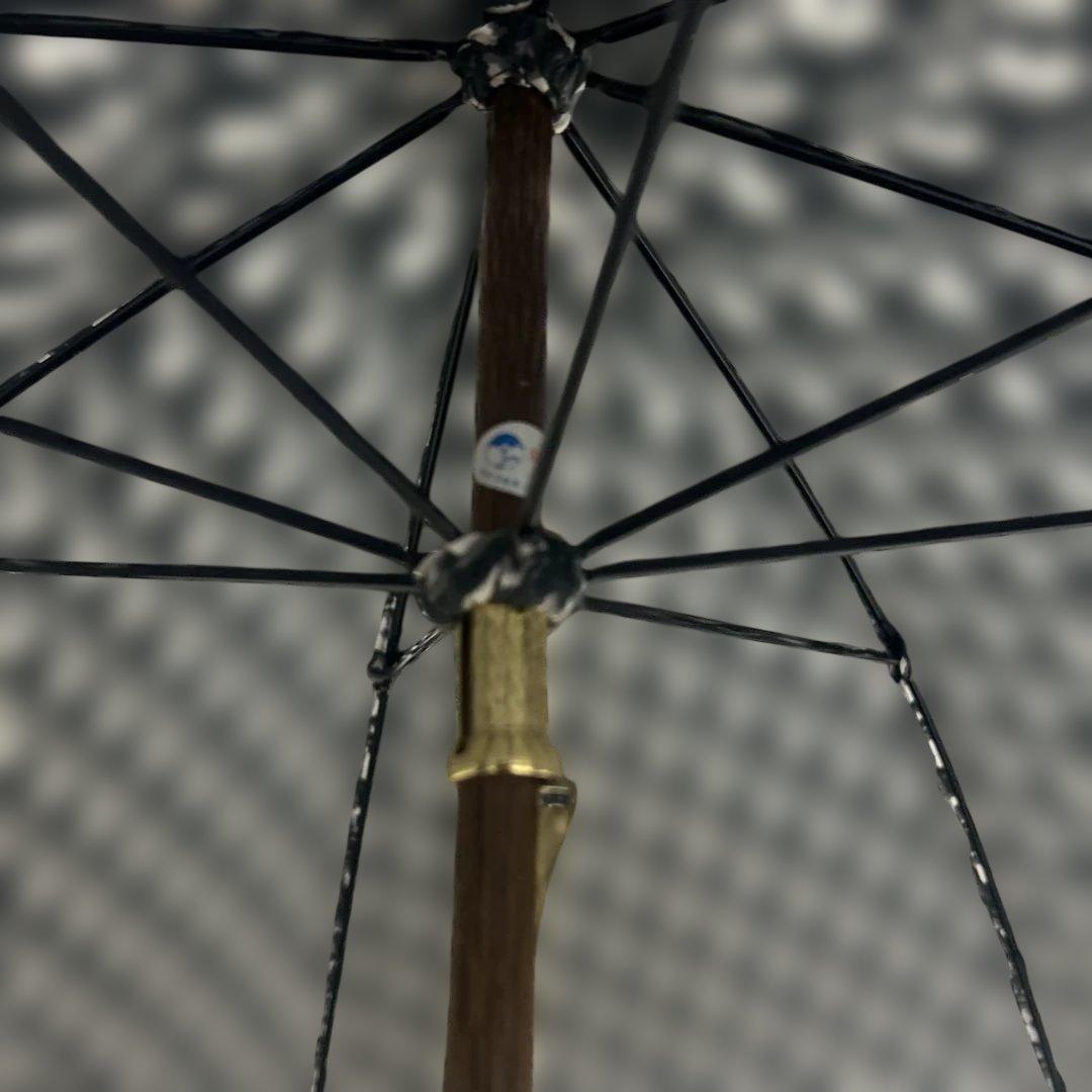 【極美品】クリスチャンディオール　長傘　トロッター　ブラック