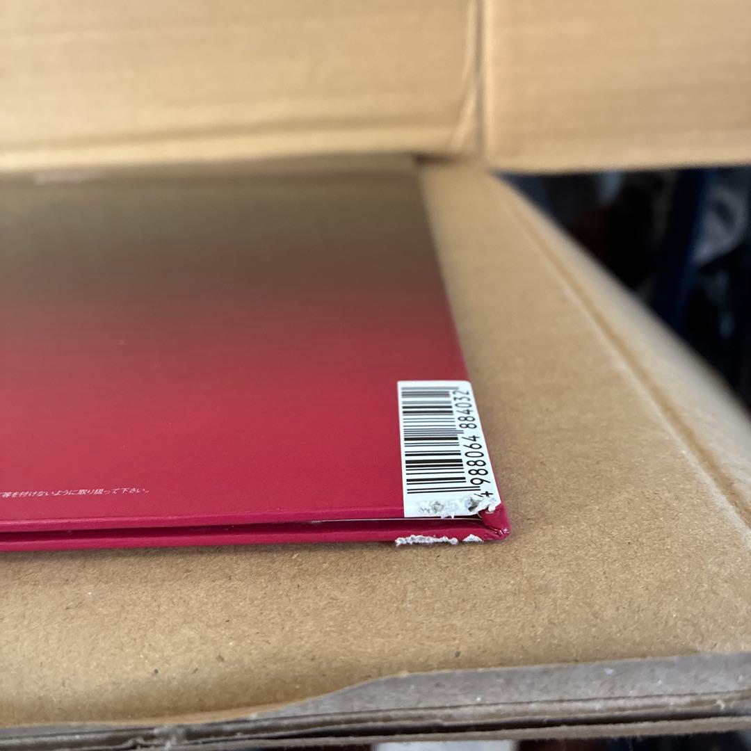 SUITE CHIC 安室奈美恵　レコード　2LP 底左側擦れ跡あり