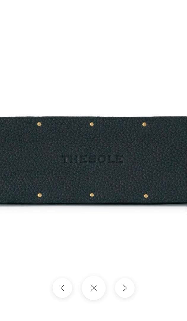 ザソール THE SOLE 洋服ブラシ 山羊毛 トリヨン・モーリス