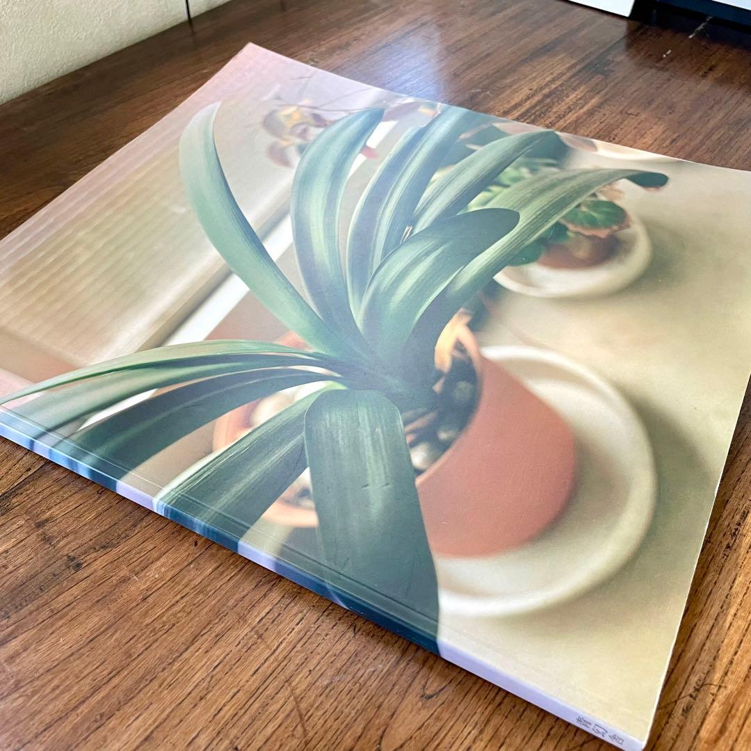 生きている　佐内正史　写真集