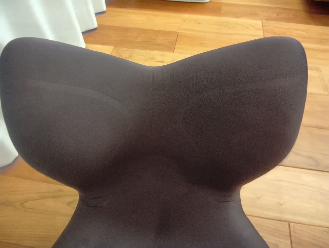 Style PREMIUM MTG 骨盤サポートチェア 座椅子