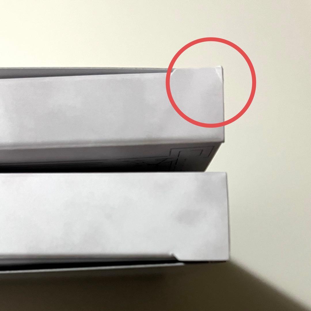 【Switch】エンダーマグノリア数量限定版【開封済み】