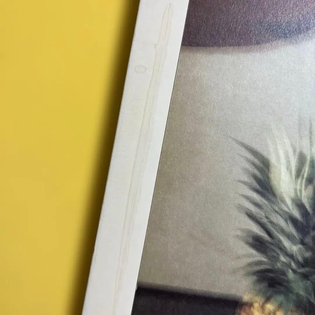 写真集「Synthetic Voices」マーク・ボスウィック 1998年